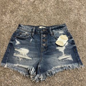 altard state jean shorts